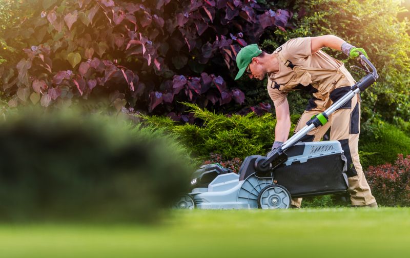 Full Service Lawn Care
