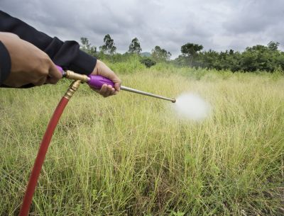 Crabgrass Prevention in Ventura County, CA