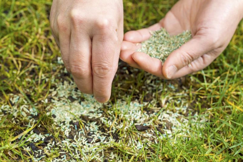 Fall Lawn Seeding in Honolulu, HI