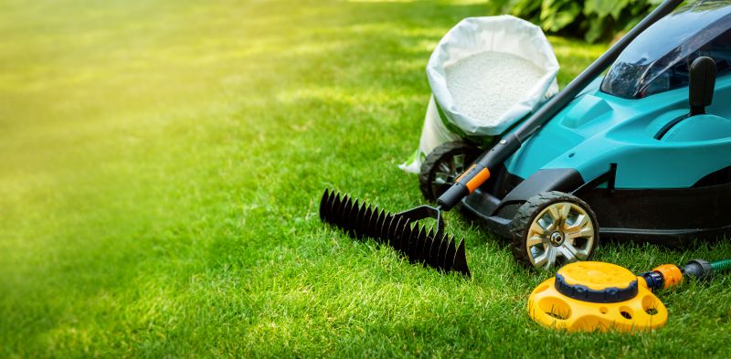 Full Service Lawn Care