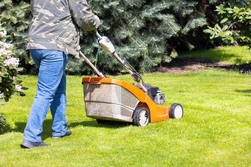 Full Service Lawn Care