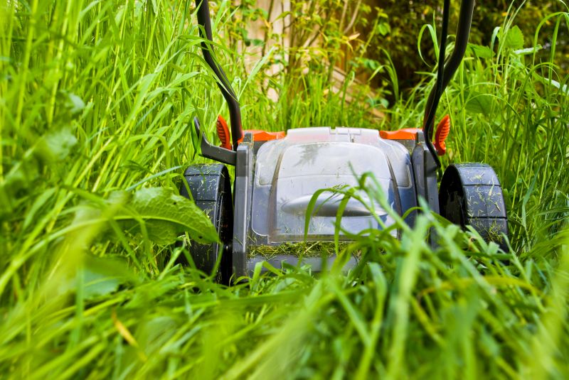 Weekly Lawn Care detail