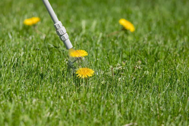 Lawn Weed Control in Rockwall, TX