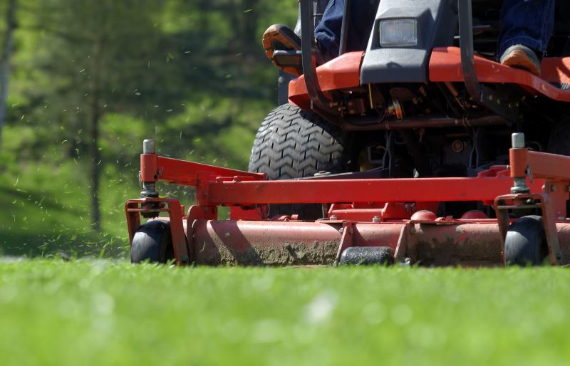 Meadow Mowing in Duluth, MN