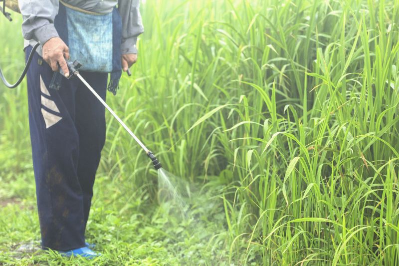 Weed Spraying in Ventura County, CA