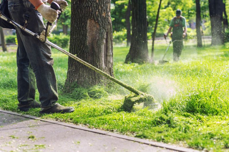 Full Service Lawn Care - Full Service Lawn Care Mcallen, Texas